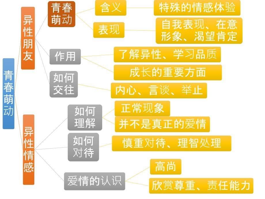 第一单元思维导图11_第5页