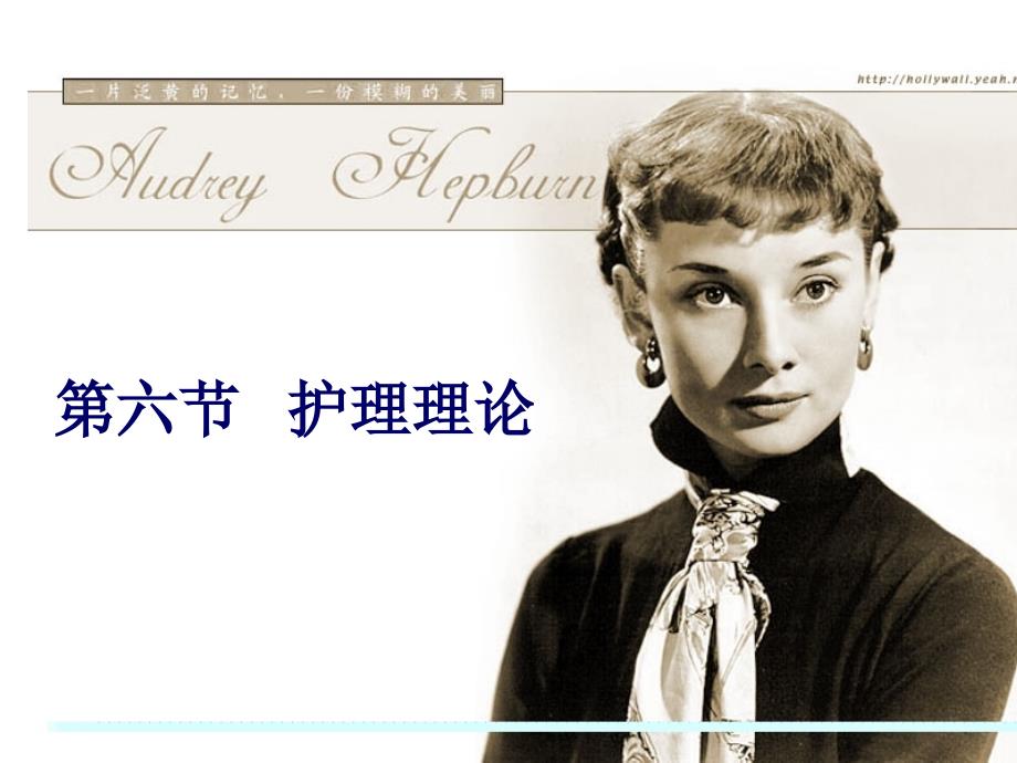 第六节护理理论PPT课件_第1页