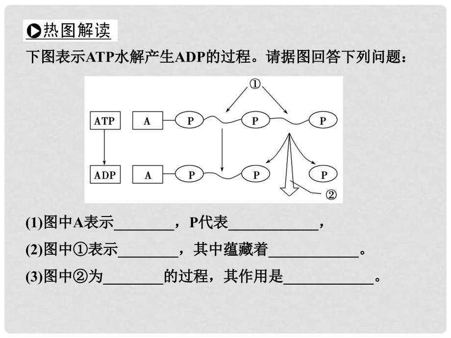 高考生物一轮复习 第三单元 细胞的能量供应和利用 第9讲 ATP与细胞呼吸课件_第5页