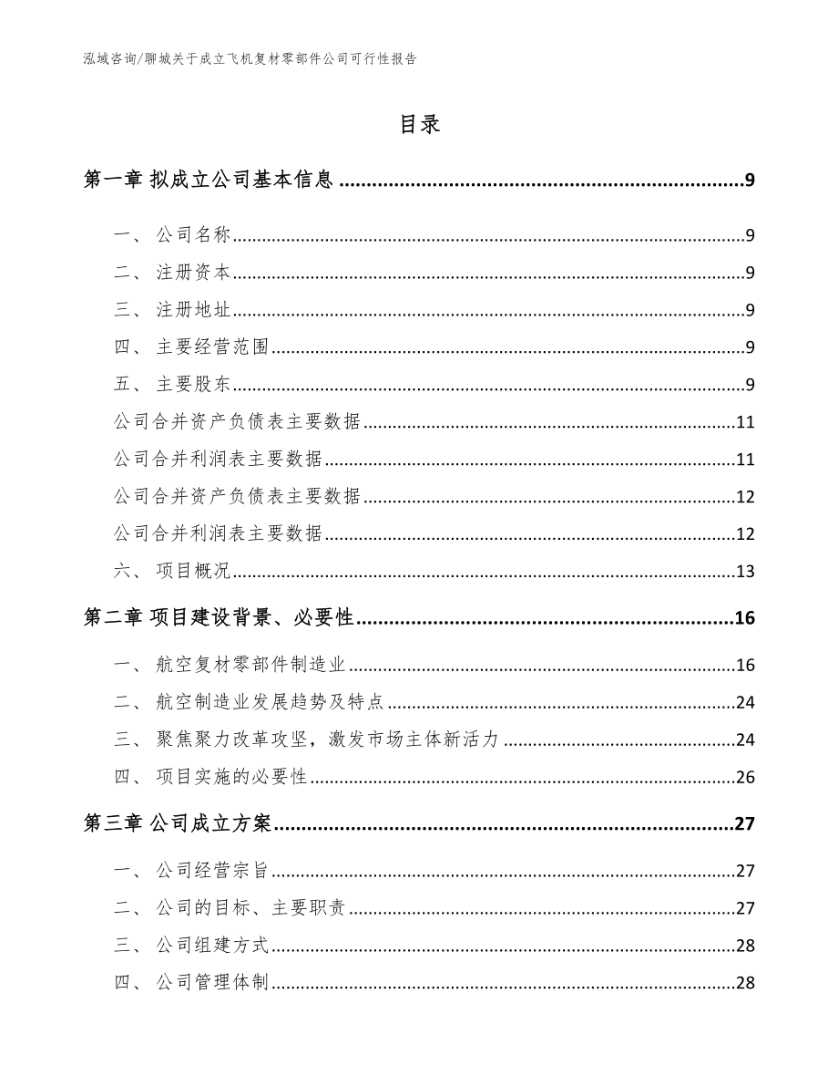 聊城关于成立飞机复材零部件公司可行性报告_第2页