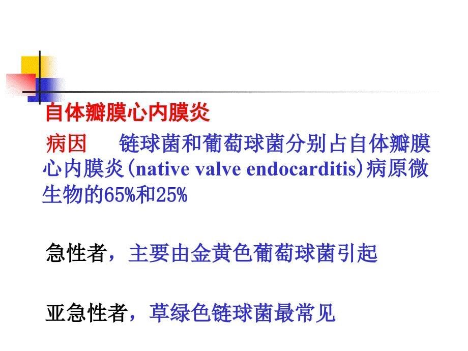 心血管教学课件：感染性心内膜炎_第5页