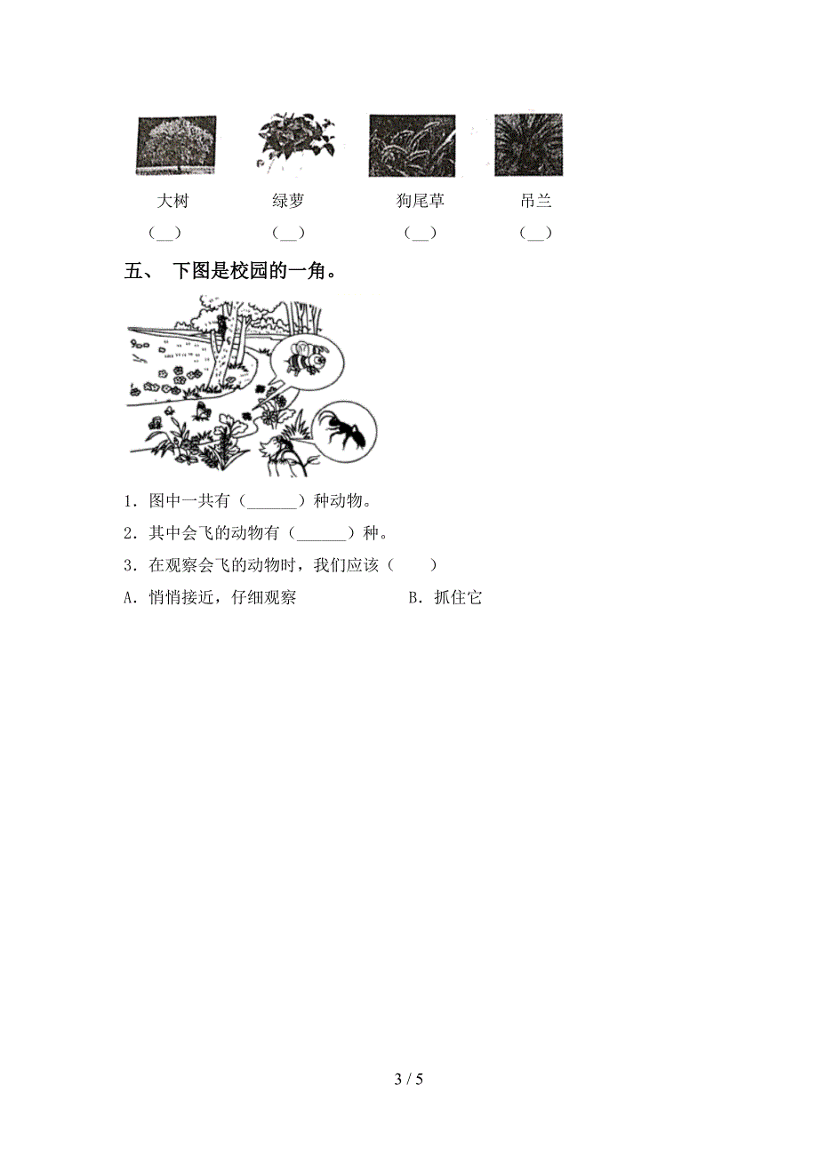 湘教版一年级科学上册期中考试卷【及答案】.doc_第3页