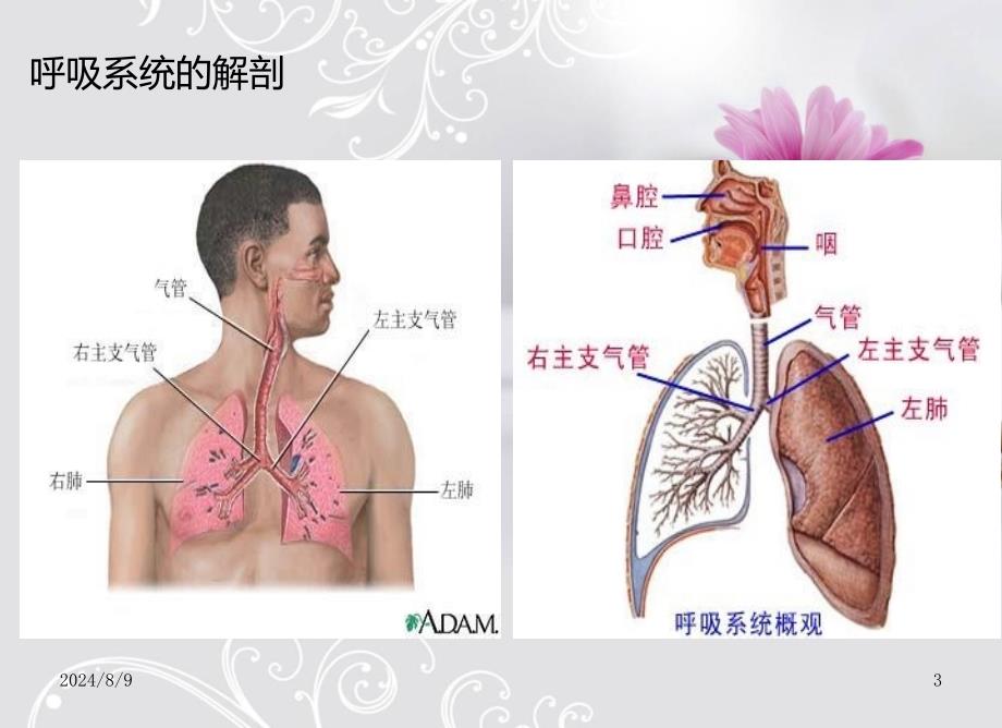 呼吸衰竭急救护理_第3页