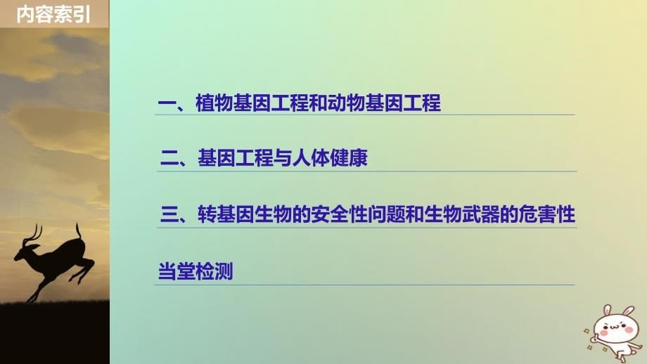 生物 第一章 基因工程 1.2 关注基因工程 苏教版选修3_第5页