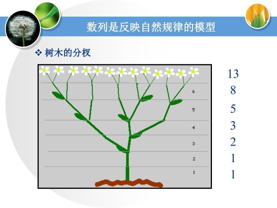 数列的概念与简单表示法_第5页