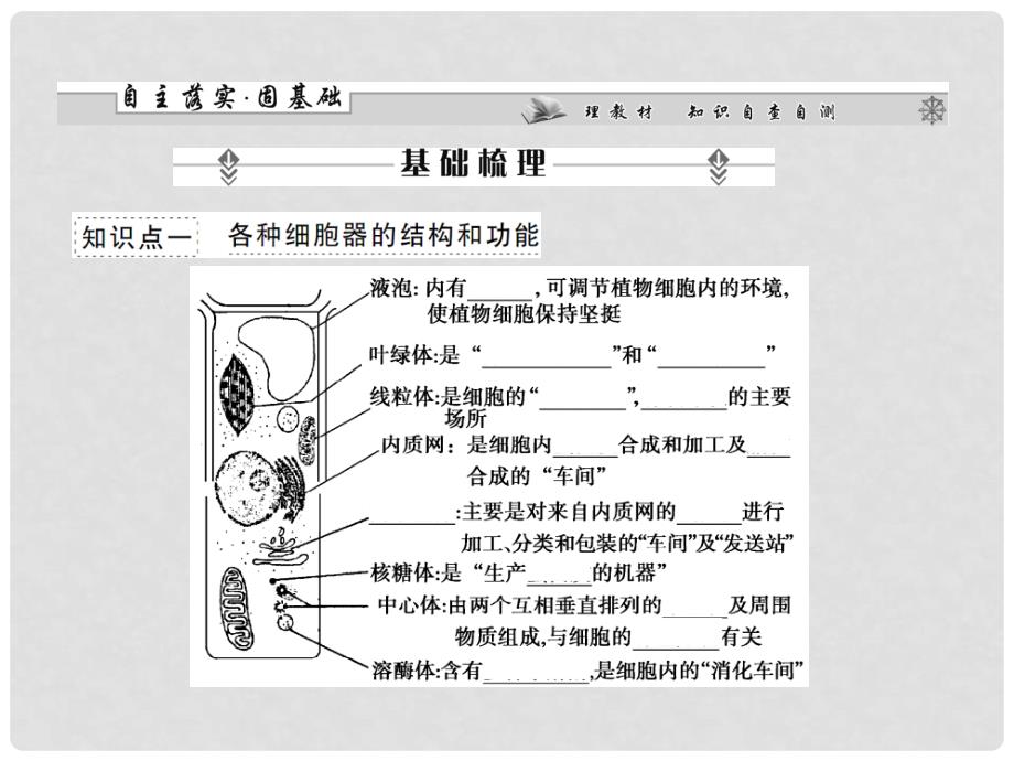 高考生物一轮复习 第34章第2课时细胞器系统内的分工合作课件 新人教版必修1_第2页