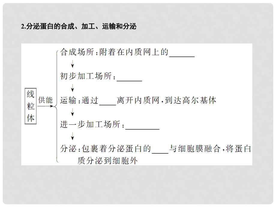 高考生物一轮复习 第34章第2课时细胞器系统内的分工合作课件 新人教版必修1_第4页