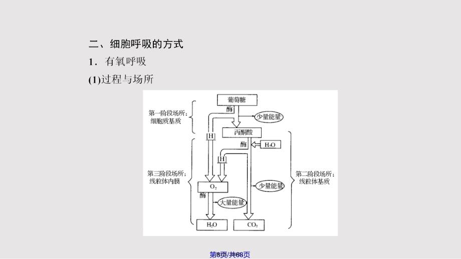 ATP与呼吸作用实用教案_第3页