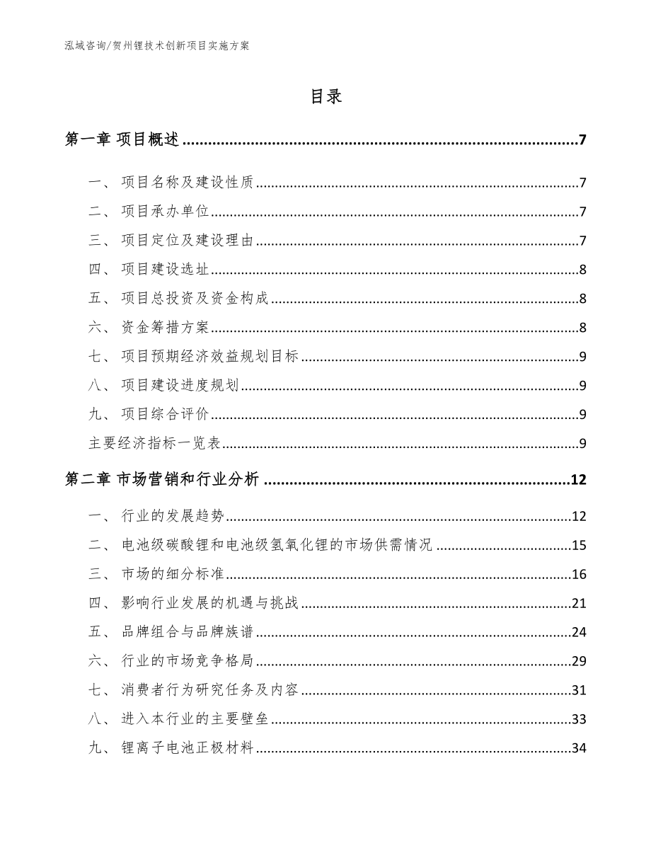 贺州锂技术创新项目实施方案（范文模板）_第1页