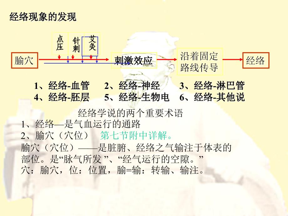 第七节中医经络学说讲述_第2页