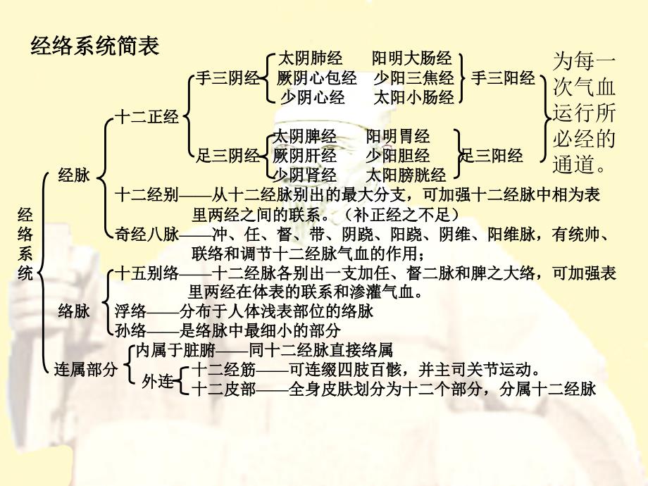 第七节中医经络学说讲述_第4页