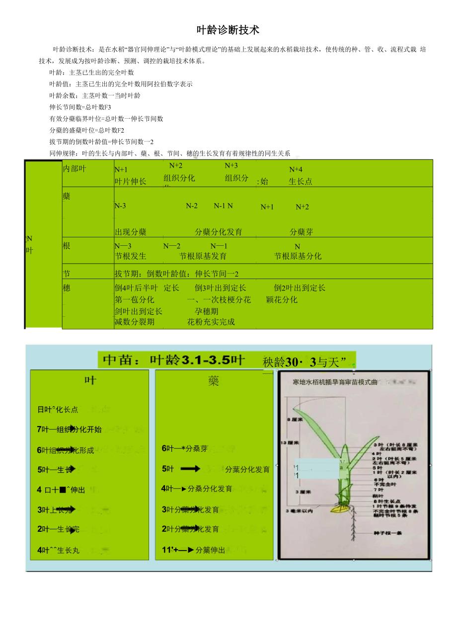 叶龄诊断技术_第1页