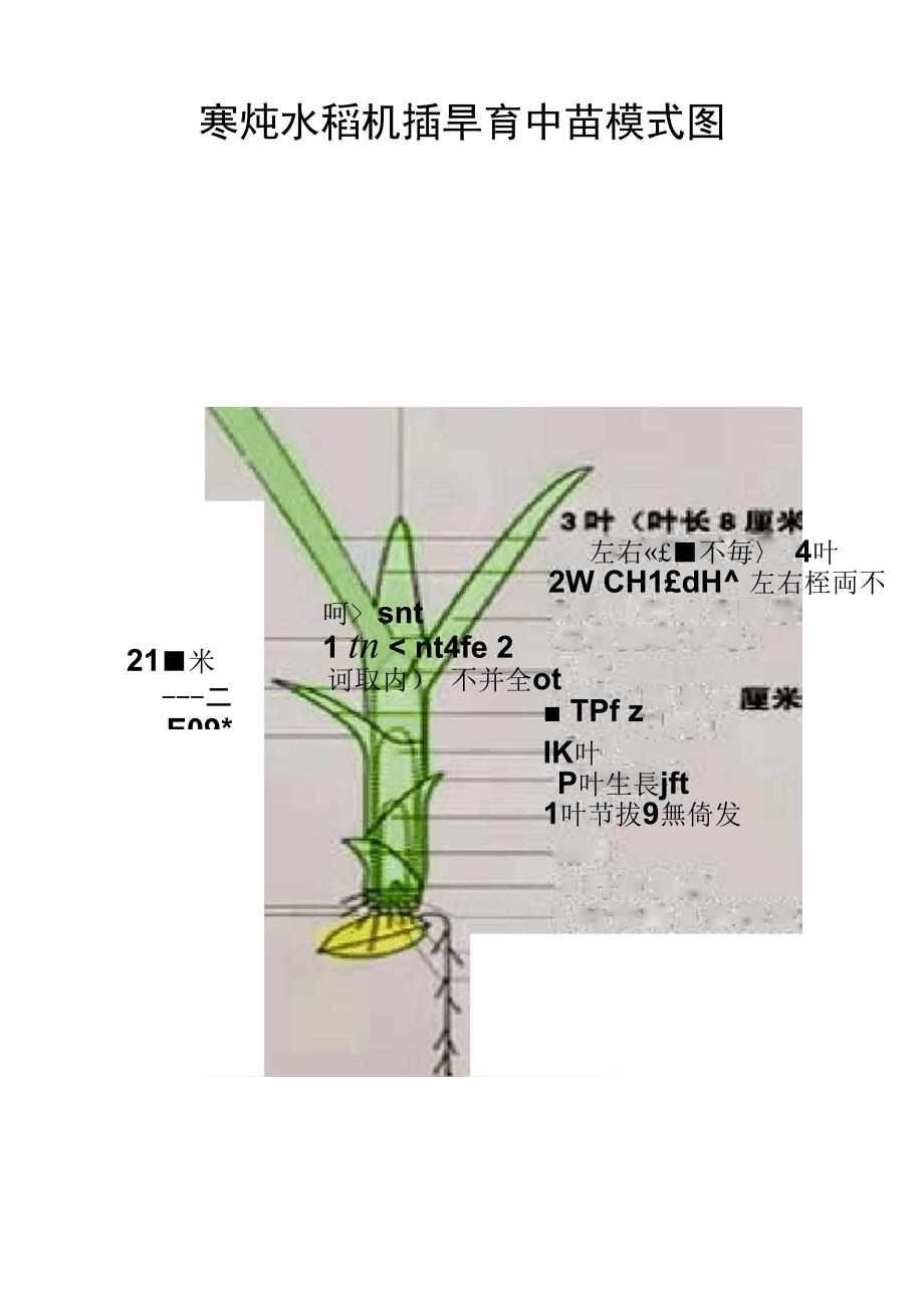 叶龄诊断技术_第2页