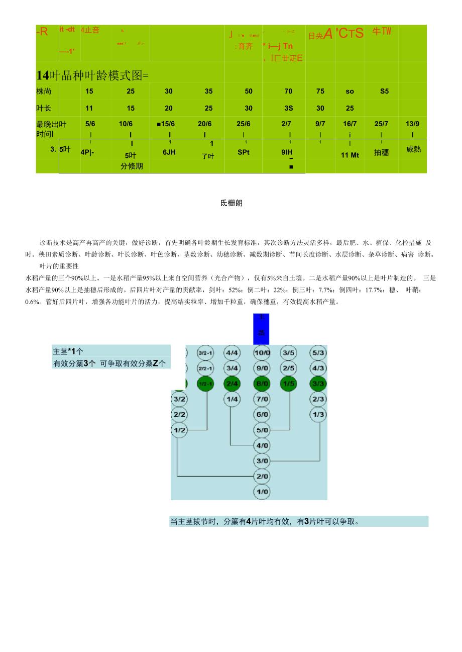 叶龄诊断技术_第3页