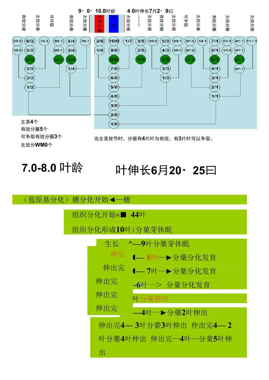 叶龄诊断技术_第4页