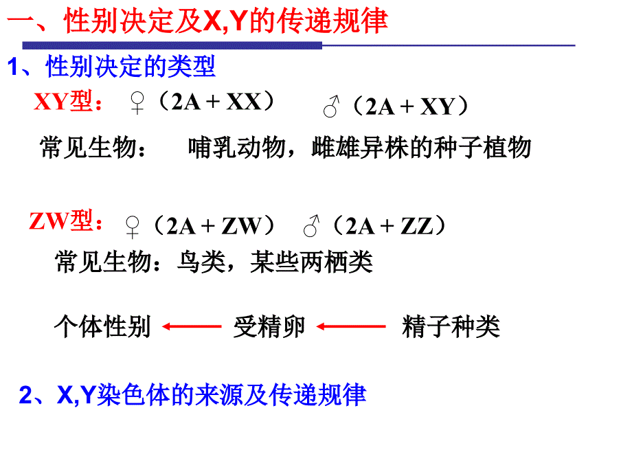 【医药健康】专题 伴遗传_第2页