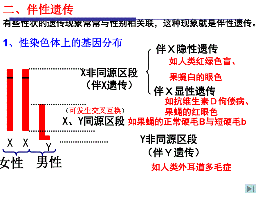 【医药健康】专题 伴遗传_第4页