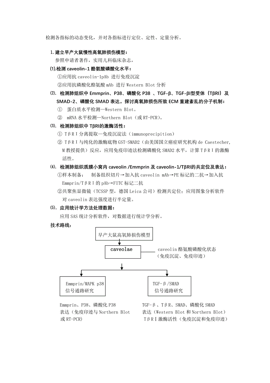 国家自然基金标书-终稿.doc_第4页