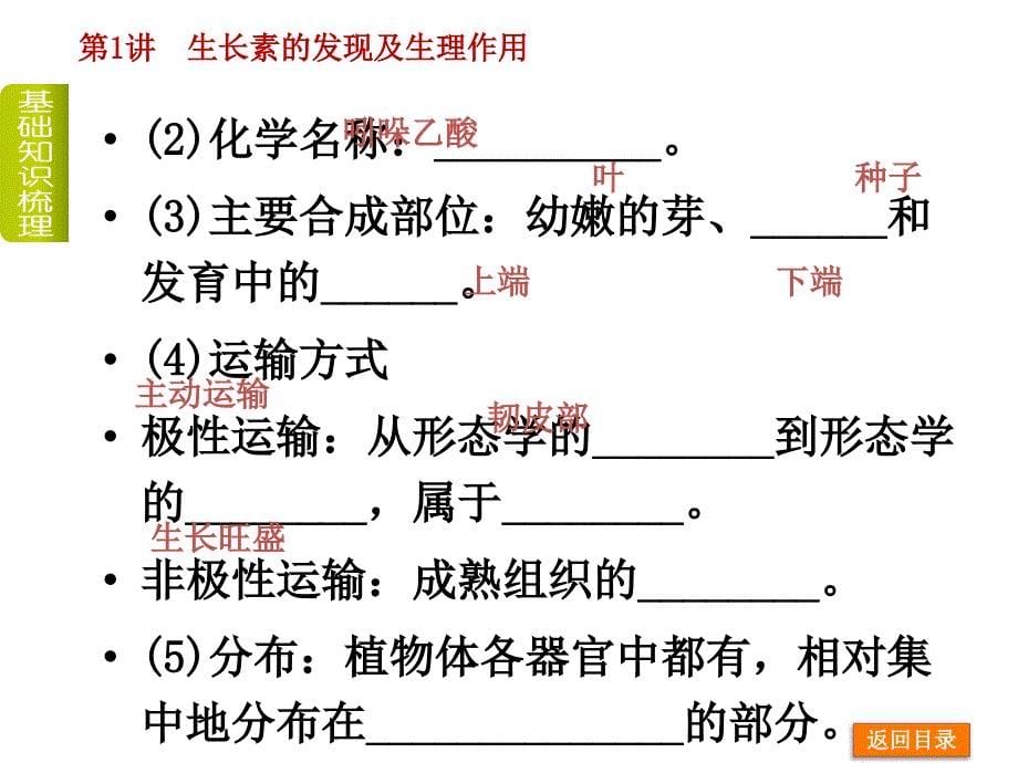 植物激素调节复习_第5页