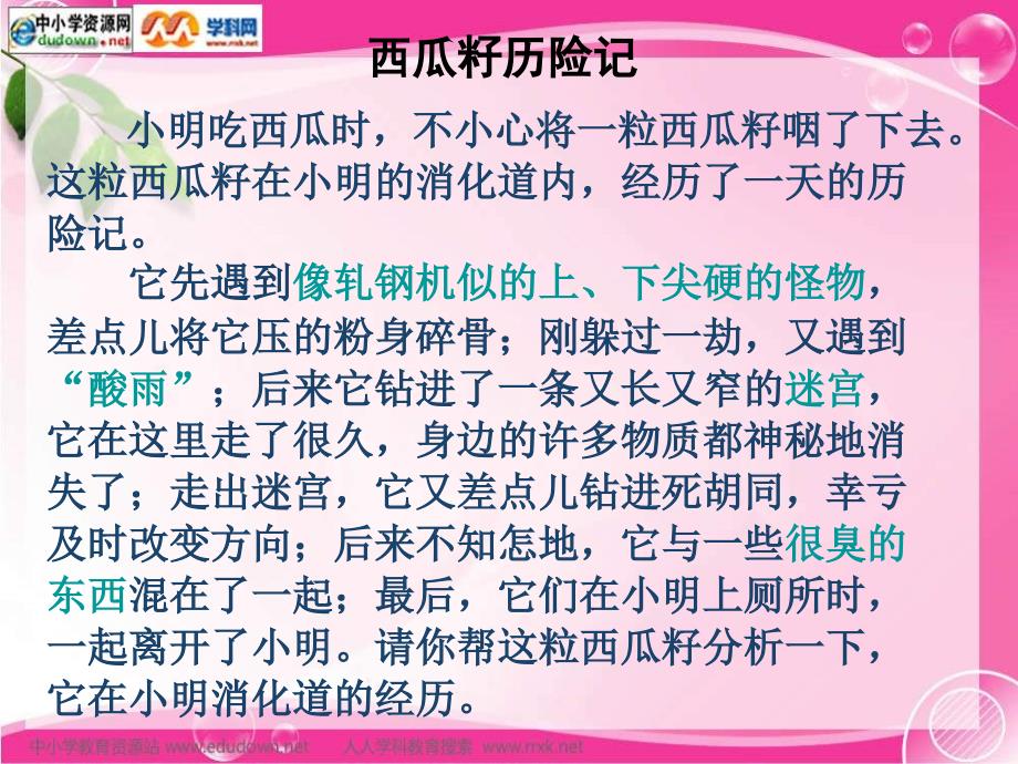 人教版生物七下2.2消化和吸收之一课件_第4页