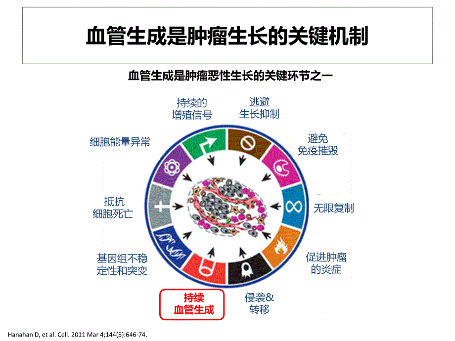 《抗血管生成剖析》PPT课件_第4页