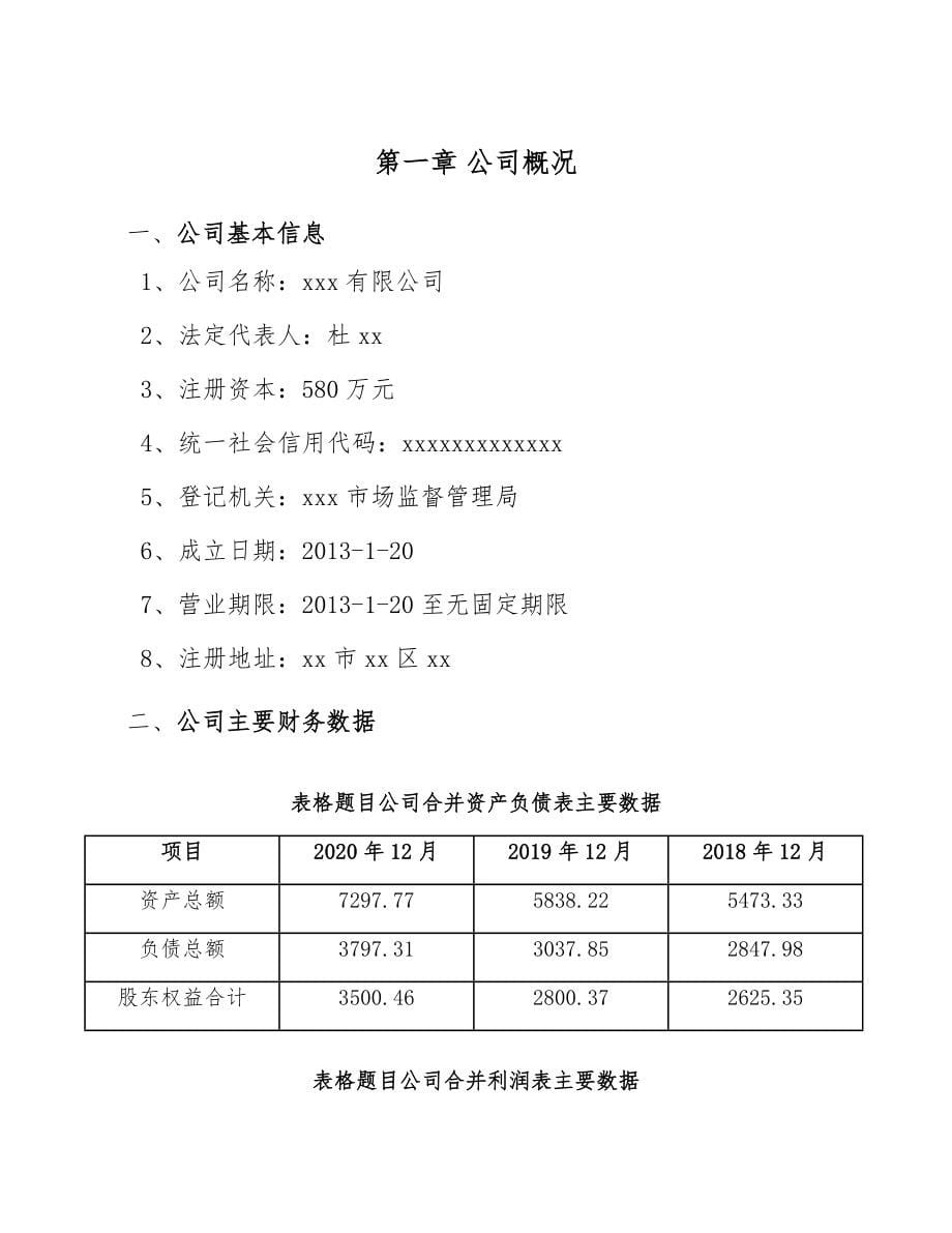 皮革项目工程前期工作手册模板_第5页