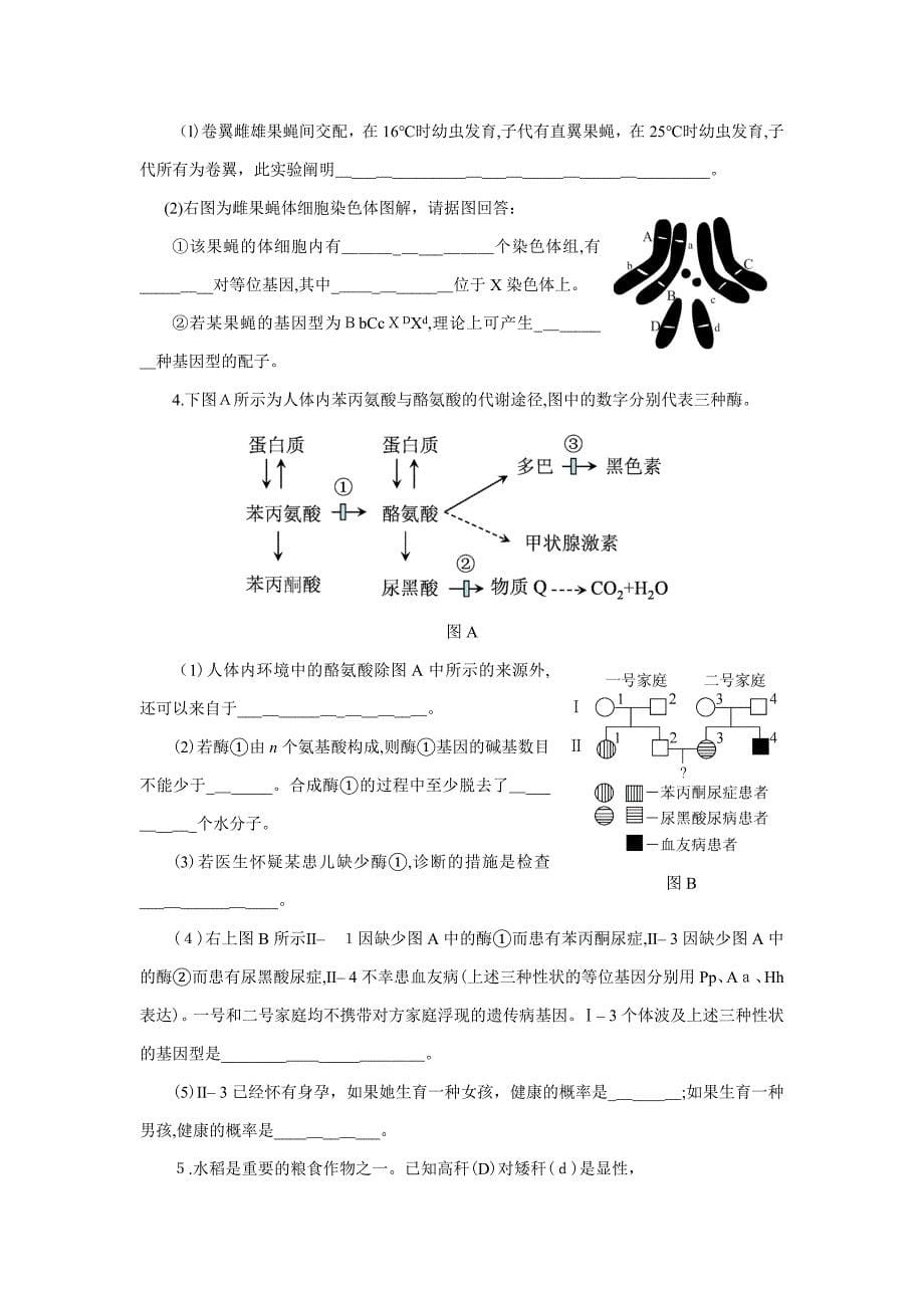 高一生物必修二期末试题_第5页