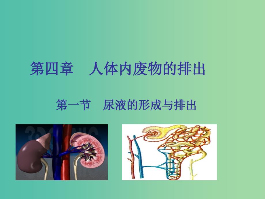 七年级生物下册 3.4.1 尿液的形成和排出课件（1）（新版）济南版.ppt_第1页