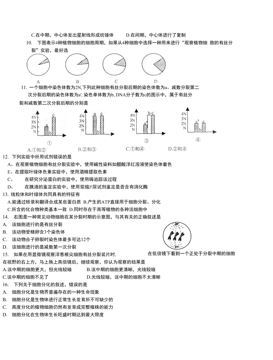 光合作用的内容_第3页