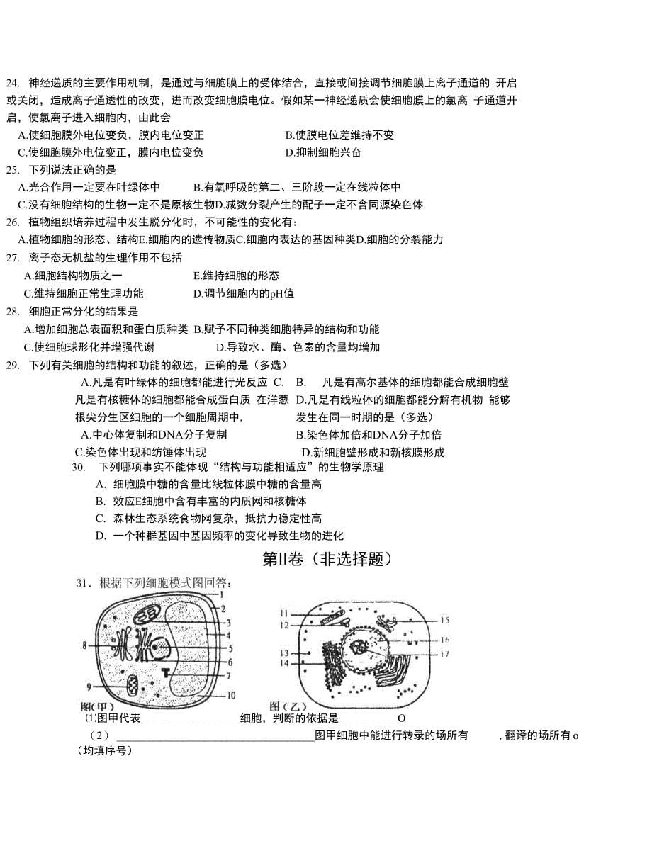 光合作用的内容_第5页