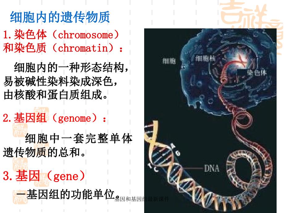 基因和基因组最新课件_第2页