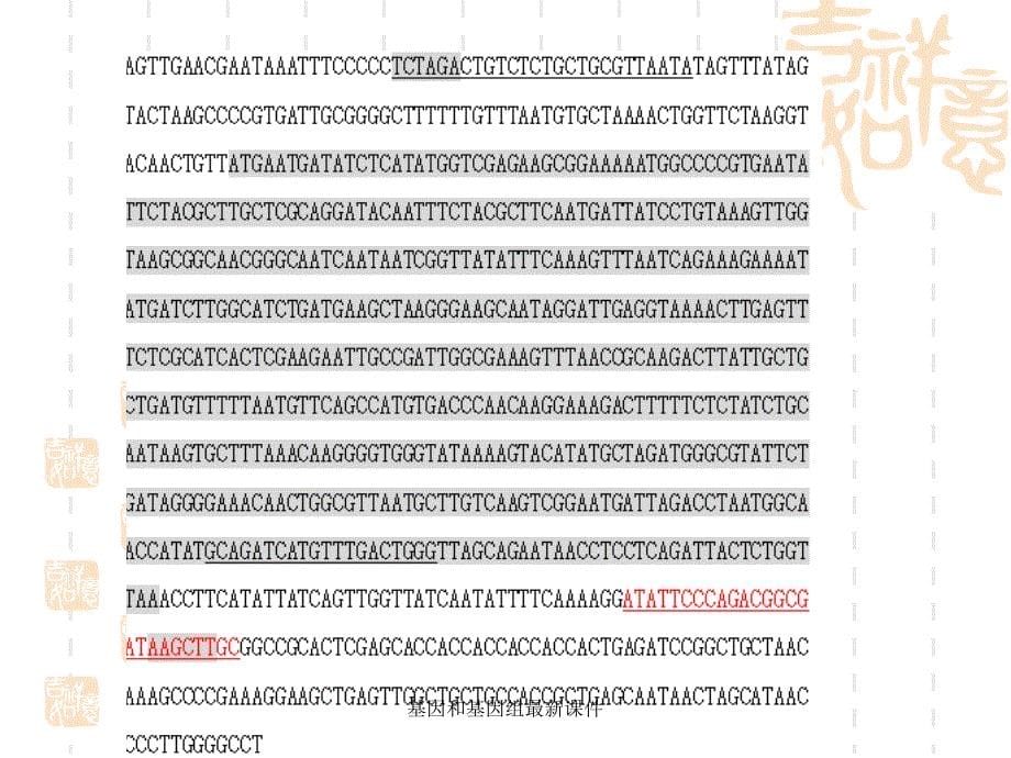 基因和基因组最新课件_第5页