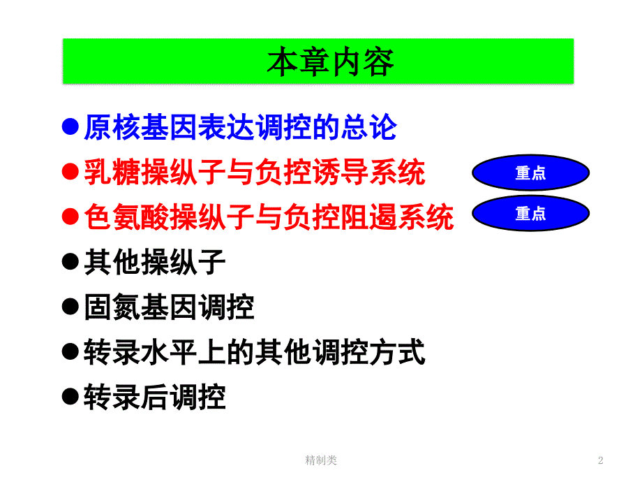 乳糖操纵子（精制医学）_第2页