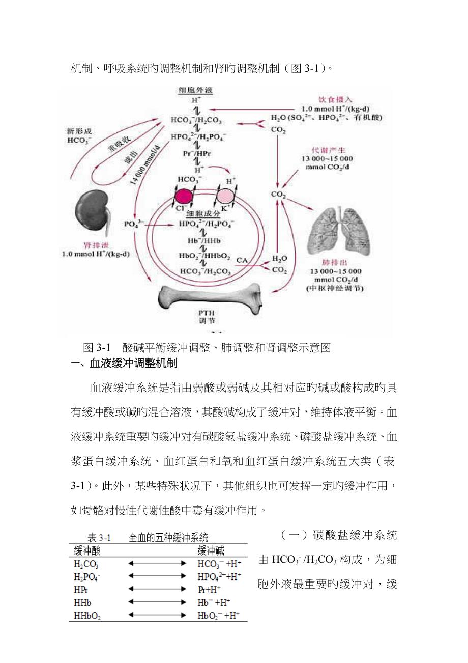 酸碱平衡失调_第2页