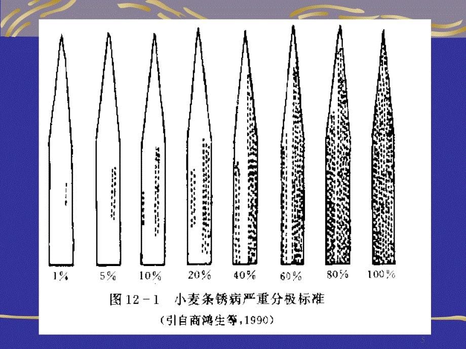 植物病害的流行与预测_第5页