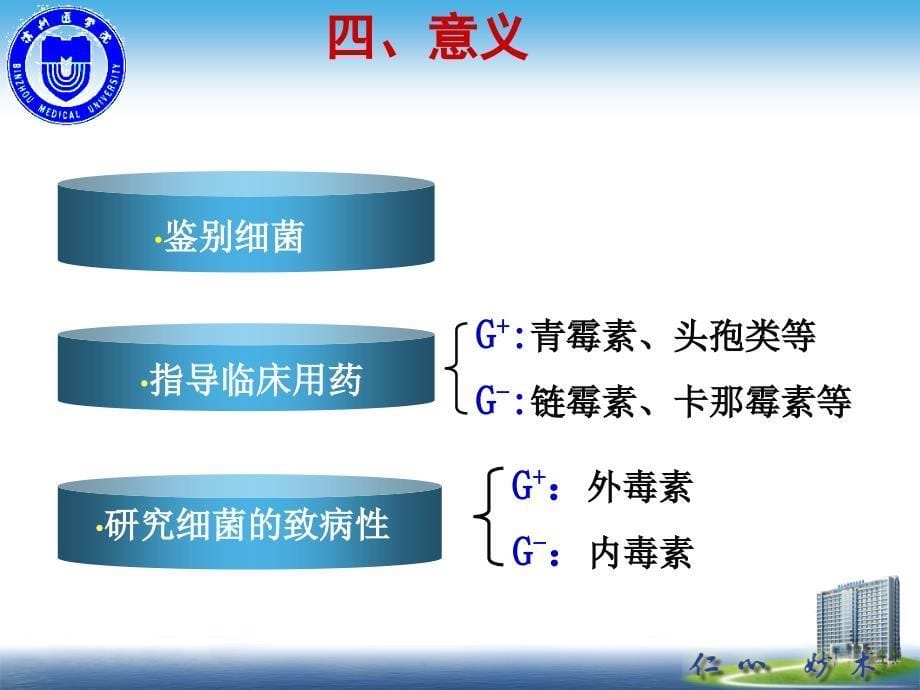 张玉梅医学微生物学革兰染色实验_第5页