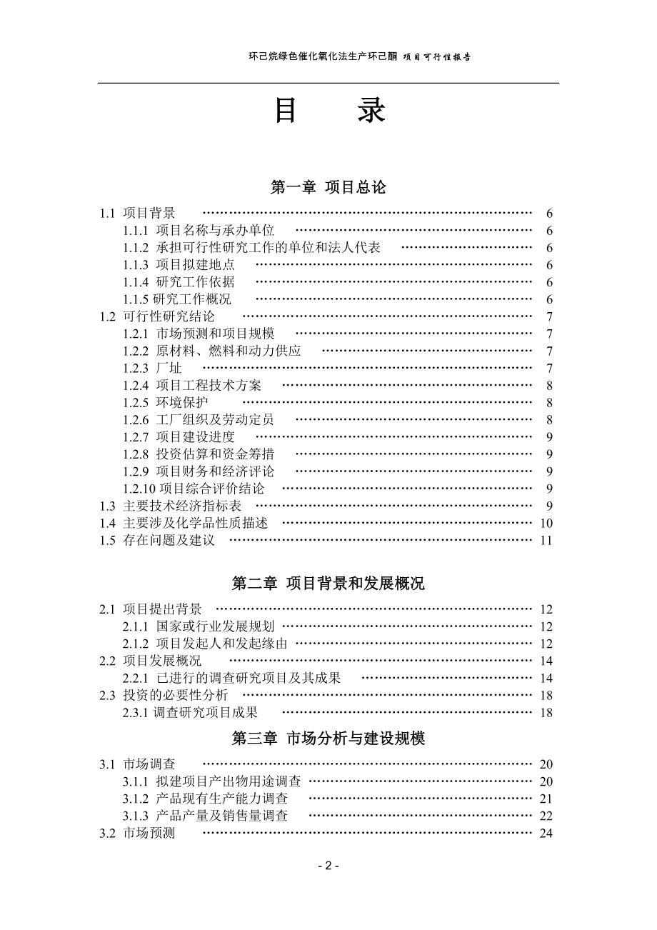 化氧化法生产环己酮项目可行性报告.doc_第2页