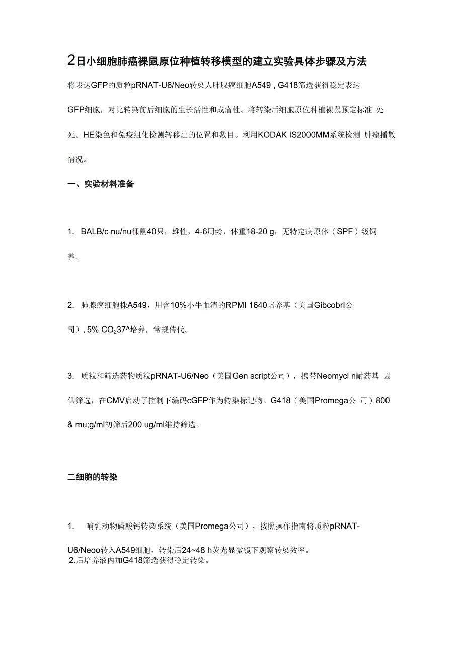 人非小细胞肺癌裸鼠原位种植转移模型的建立实验具体步骤及方法_第1页