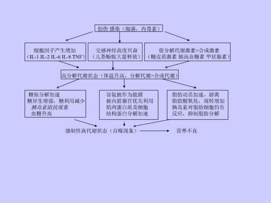 最新危重病人的营养及代谢幻灯片_第4页