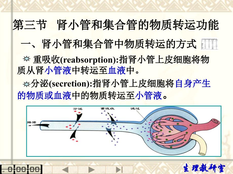 生理学课件：第八章02_第1页