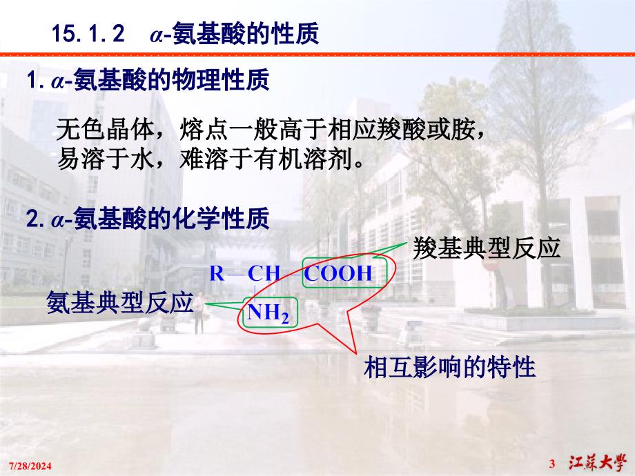 第15章氨基酸、蛋白质和核酸简版3_第3页