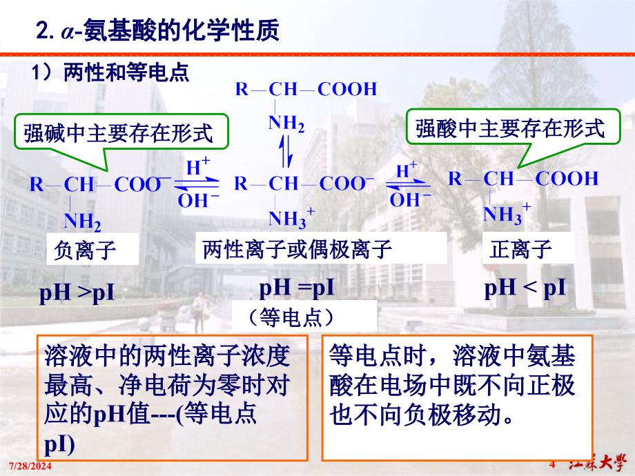 第15章氨基酸、蛋白质和核酸简版3_第4页