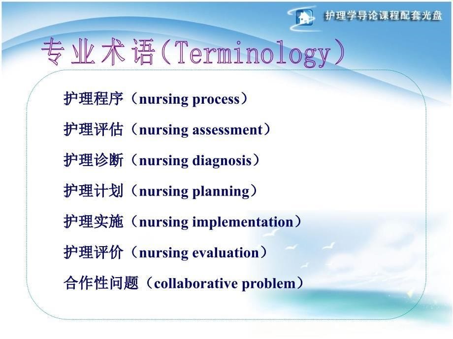 护理学导论-第9章-护理程序_第5页