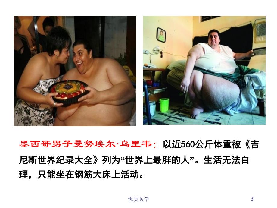 减肥功能性食品（清晰详实）_第3页