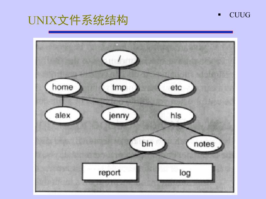 初级班讲义unix常用命令_第3页