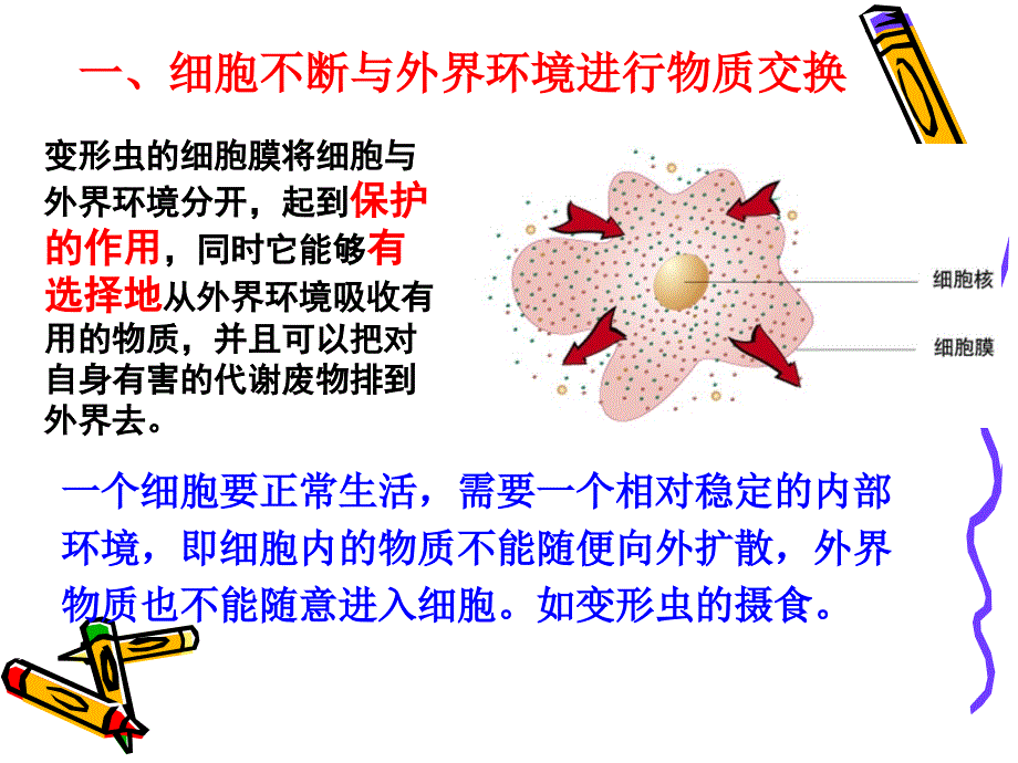 最新32细胞是生命活动的单位精选PPT文档_第4页