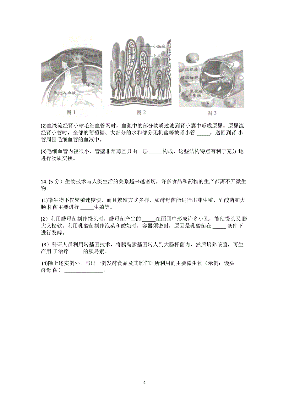 2021年安徽省中考生物试题及参考答案_第4页