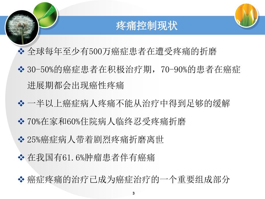 正确认识疼痛优秀课件_第3页