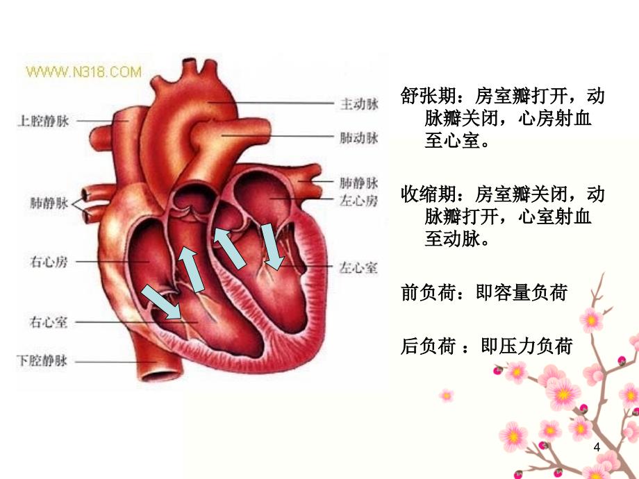 系统整合临床医学四川大学风湿性心瓣膜病的外科治疗_第4页