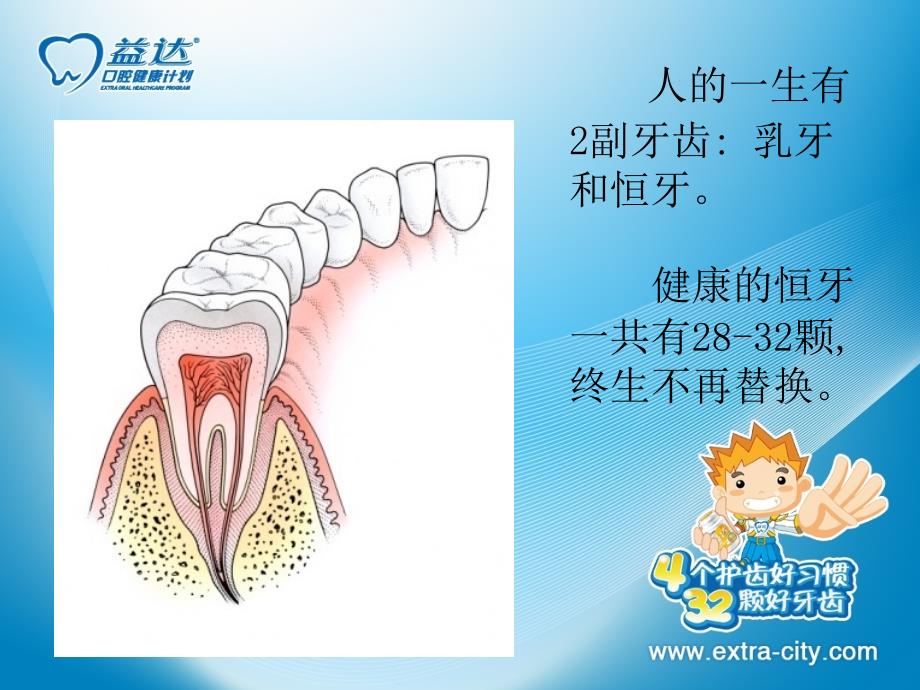 健康安全岛—保护牙齿PPT课件_第2页